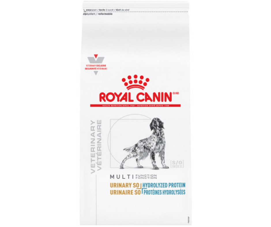 Dry Dog Food: Top Brands, Low Prices.