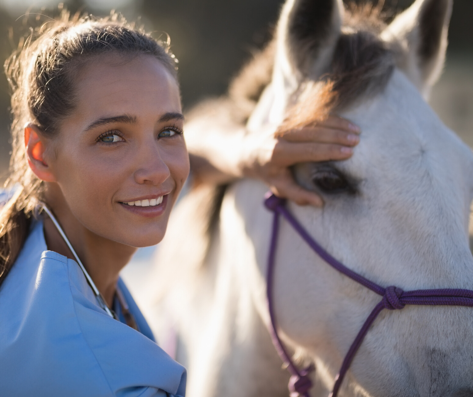 Horse Dewormers