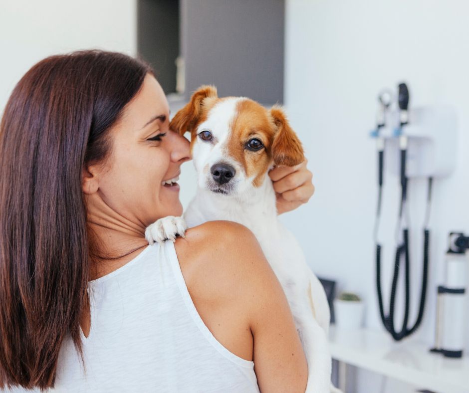 Dog Cleaning & Potty