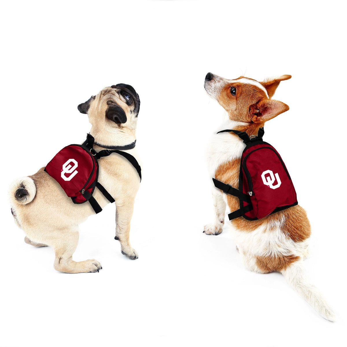 Little Earth Productions - OU Sooners Mini Backpack for Pets