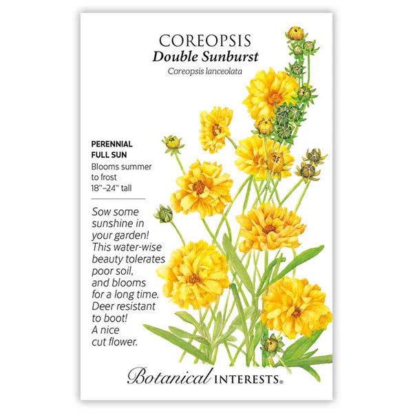 coreopsis flower seeds Double Sunburst Coreopsis Seeds