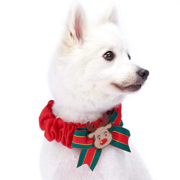Blueberry Pet - Festival Fever | Christmas Dog Collar Cover