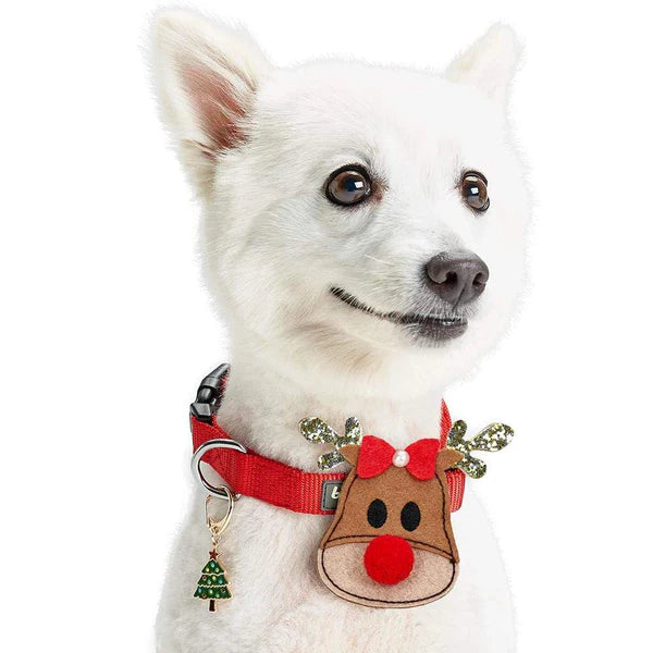 Blueberry Pet - Christmas Collar Accessory Set
