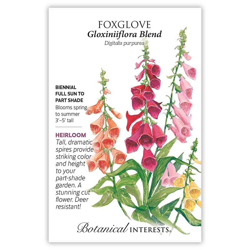 gloxinia flower seeds Botanical Interests Foxglove Gloxiniiflora Blend Seeds