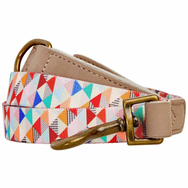 Blueberry Pet - Multicolor Triangles | Shades of Rainbow Full Grain Leather & Polyester Webbing Dog Leash
