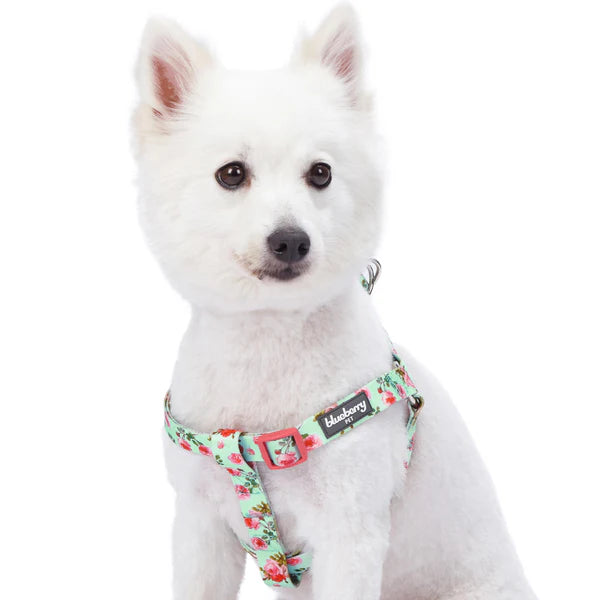 Blueberry Pet - Turquoise | Petal Paws Floral Dog Harness