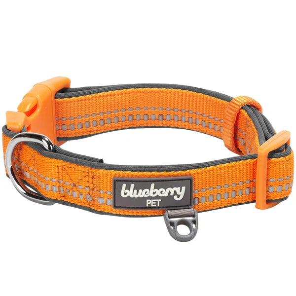 Blueberry Pet - Orange Peel | 3M Reflective Neoprene Padded Dog Collar