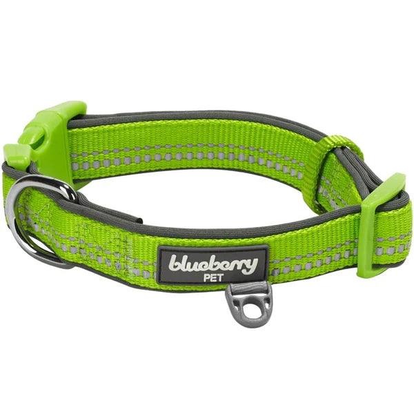 Blueberry Pet - Green Flash | 3M Reflective Neoprene Padded Dog Collar