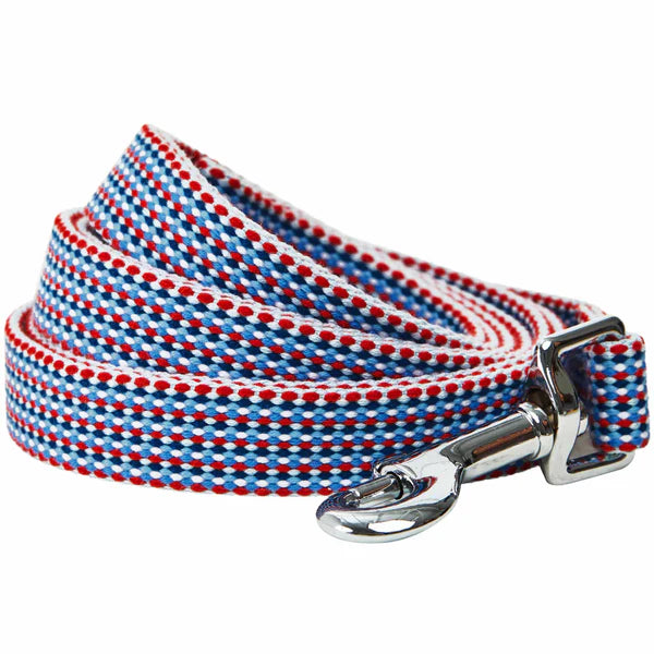 Blueberry Pet - Multicolor Braids Dog Leash