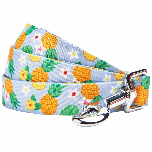 Blueberry Pet - Nutritious Pineapple | Zesty Fruit Dog Leash