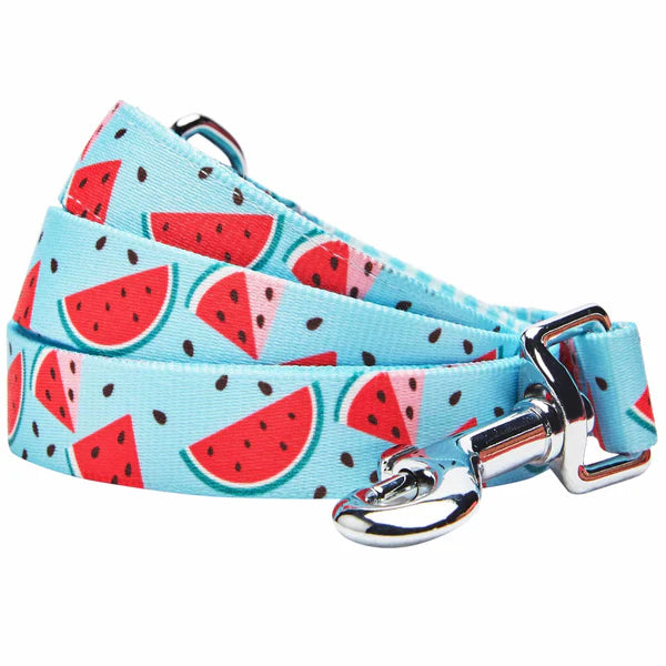 Blueberry Pet - Slices of Watermelon | Zesty Fruit Dog Leash