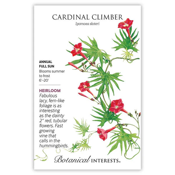 Botanical Interests, Inc. - Cardinal Climber Seeds