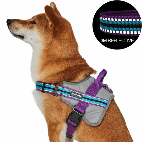 Blueberry Pet - Violet and Celeste | Service K-9, 3M Reflective Dog Harness