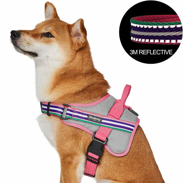 Blueberry Pet - Pink, Emerald and Orchid | Service K-9, 3M Reflective Dog Harness