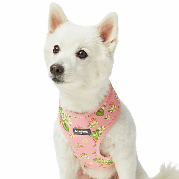 Blueberry Pet - Baby Pink | Tropical Yellow Plumeria Flower Dog Harness Vest