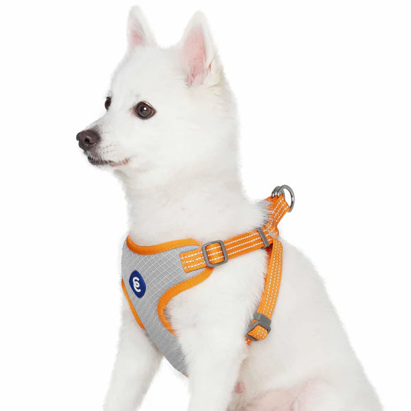 Blueberry Pet - Apricot | Better Basics Reflective Dog Harness Vest