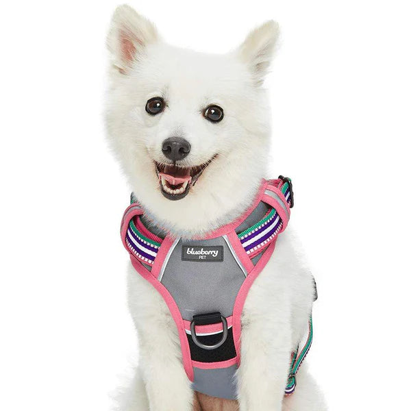 Blueberry Pet - Pink, Emerald and Orchid | No Pull 3M Reflective Dog Harness Vest with Handle