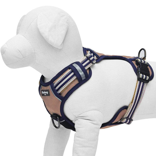 Blueberry Pet - Dog Harness Olive & Blue Gray 3M Multi Colored