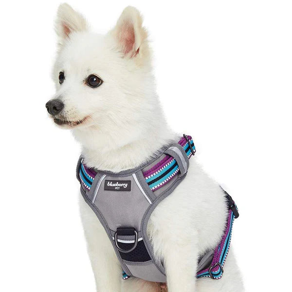 Blueberry Pet - Violet and Celeste | No Pull 3M Reflective Dog Harness Vest with Handle