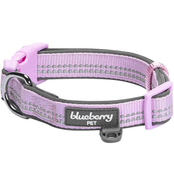 Blueberry Pet - Lavender | 3M Reflective Padded Dog Collar