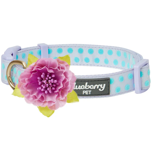 Blueberry Pet - Pastel Purple | Soft Touch Dotted Velvet Dog Collar