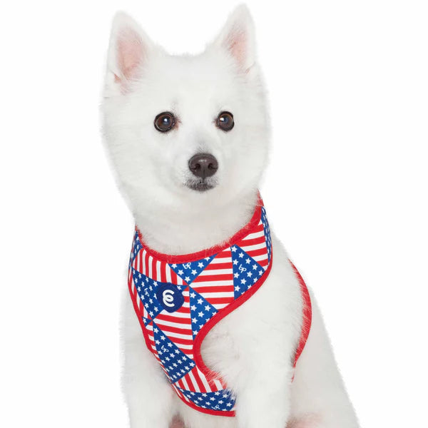 Blueberry Pet - American Flag Dog Harness Vest