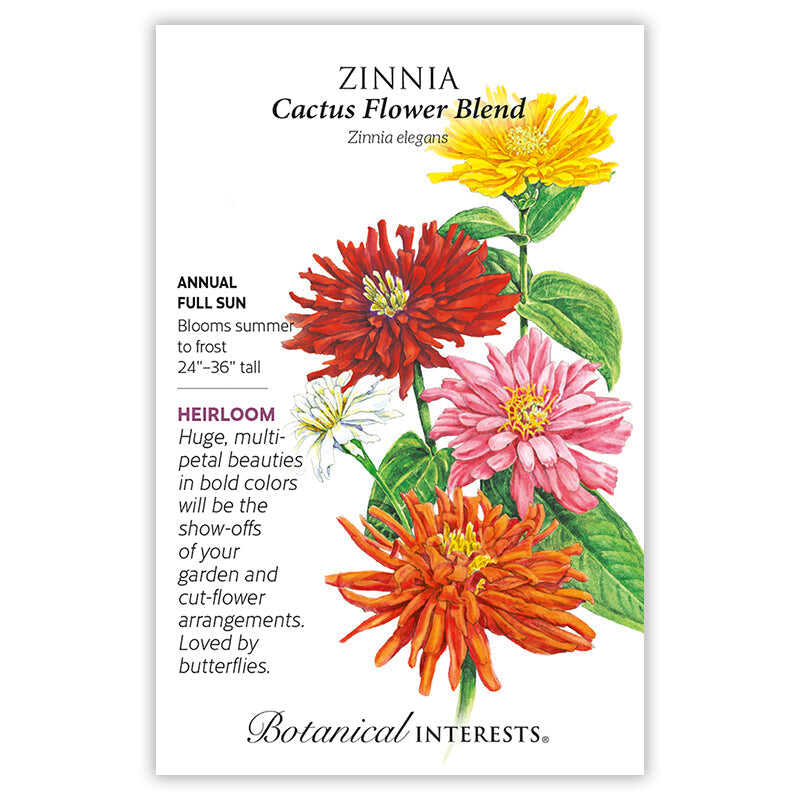 flower seeds for full sun Cactus Flower Blend Zinnia Seeds