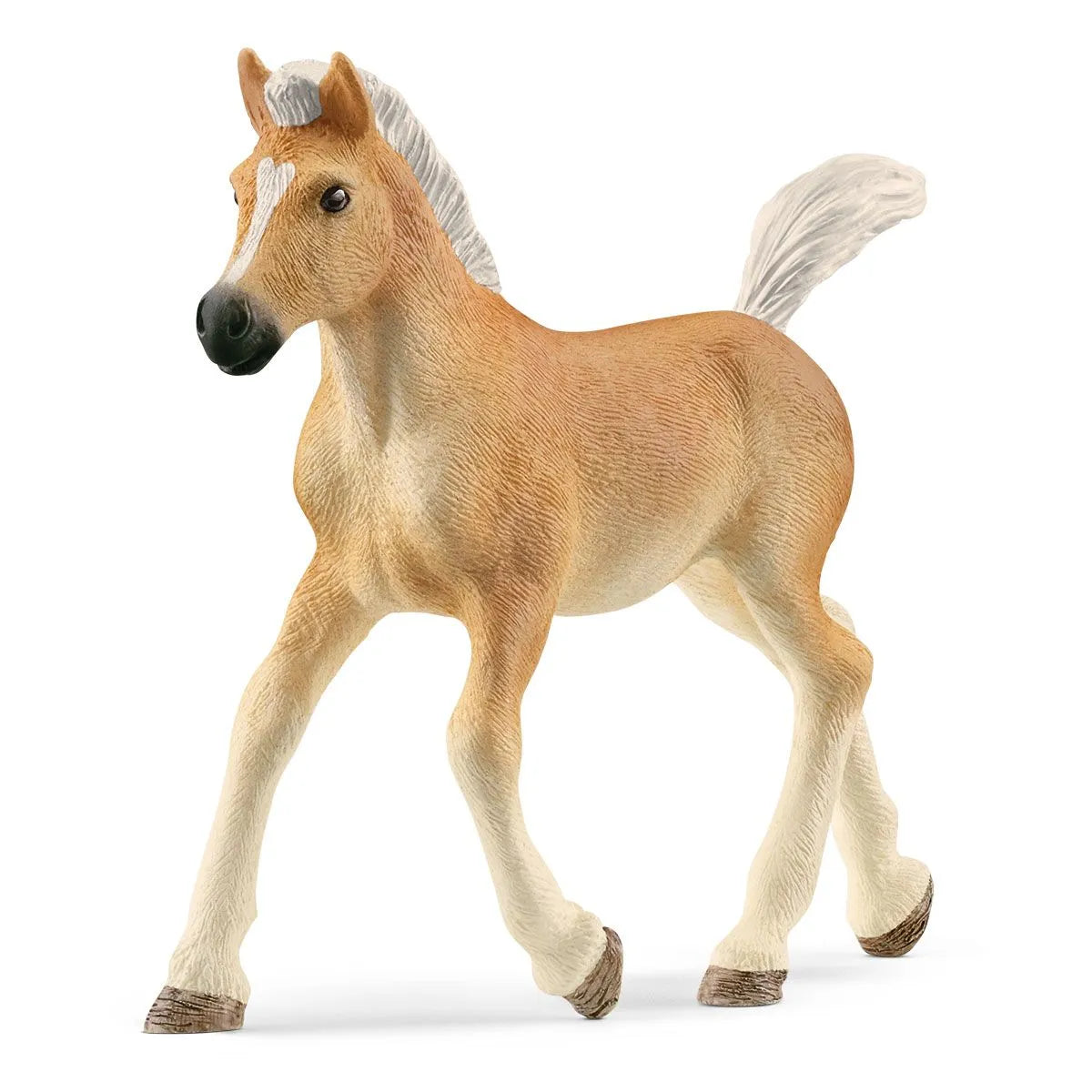 Schleich Haflinger Foal - Main Image