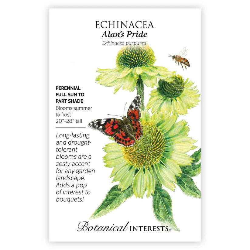 green echinacea seeds Alan's Pride Echinacea Seeds