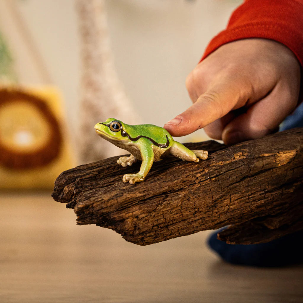 Schleich - European Tree Frog