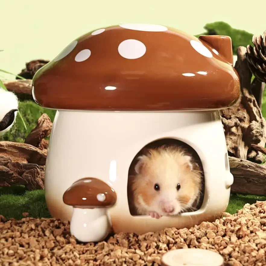 Vigor - Hamster House Mushroom Shaped