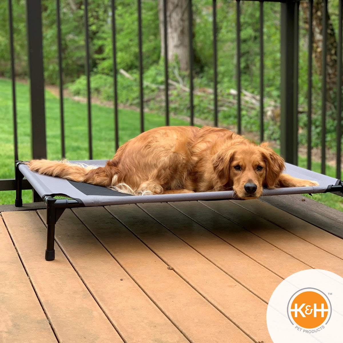 Central Pet Home Essentials - Elevated Pet Bed
