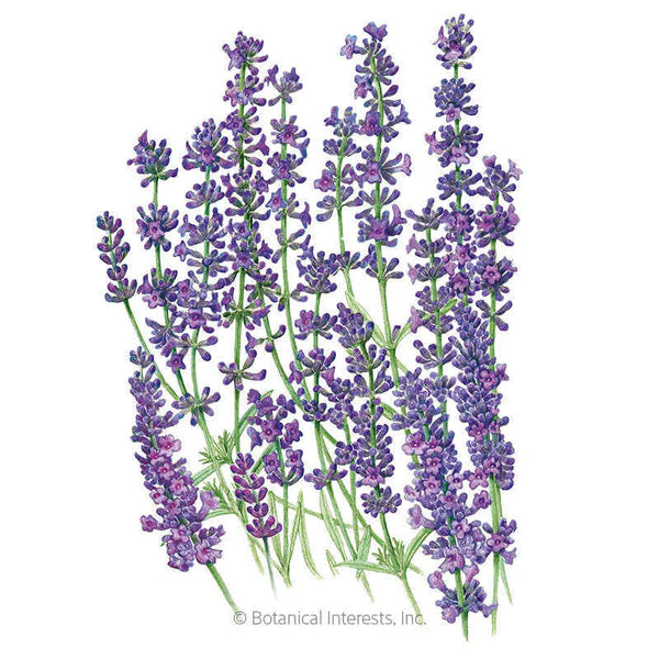 Botanical Interests, Inc