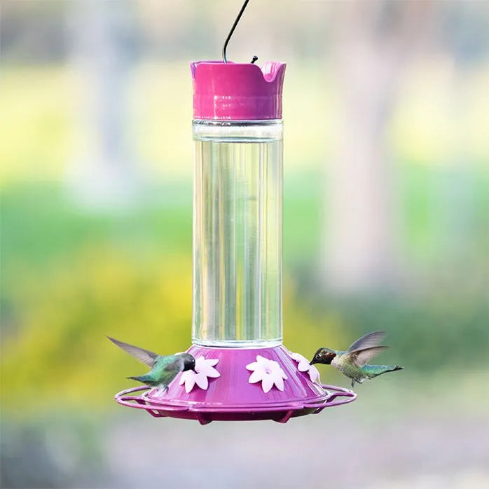 Perky pet bee outlet guards for hummingbird feeders