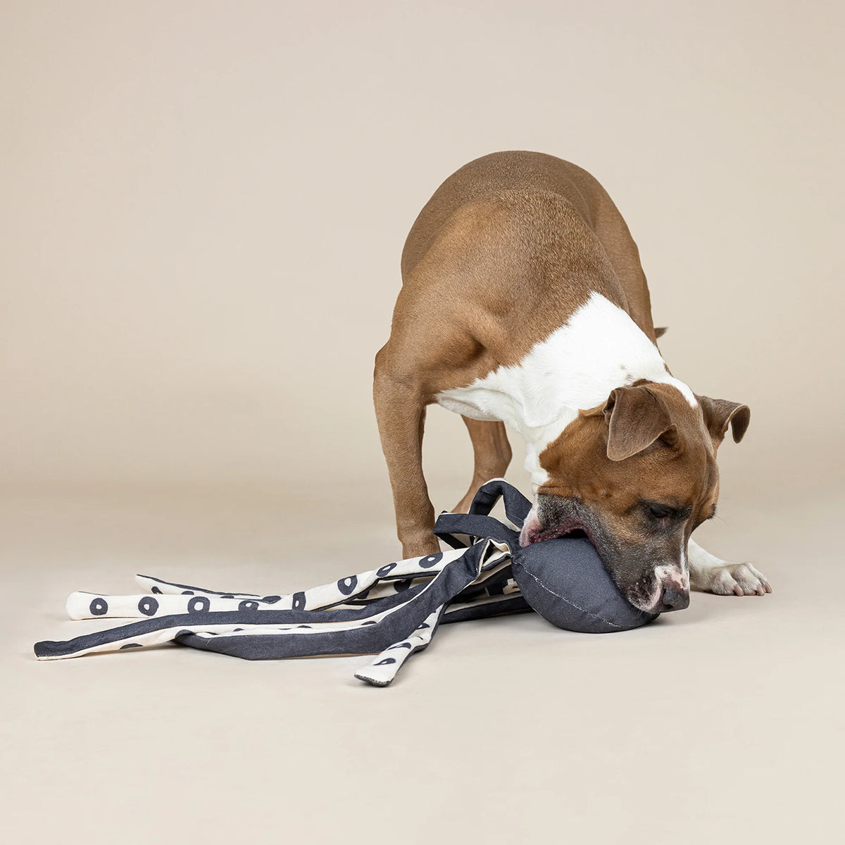 Petshop by Fringe Studio - Dog Toy Inking About You