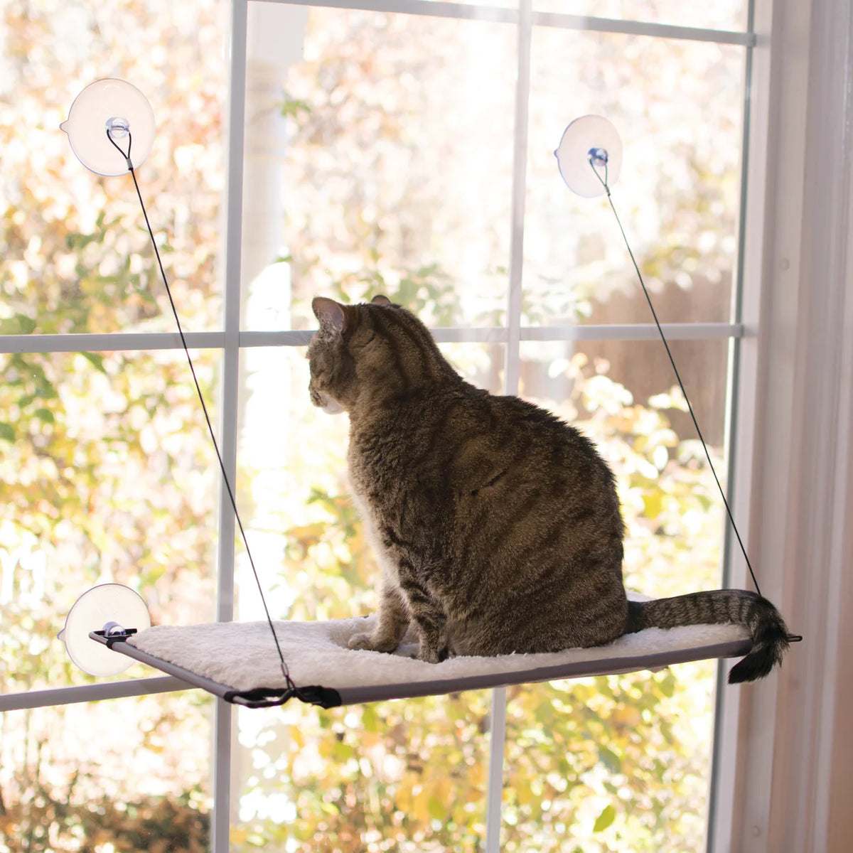 K & H Pet Products - Window Lounger Kitty Sill - Single