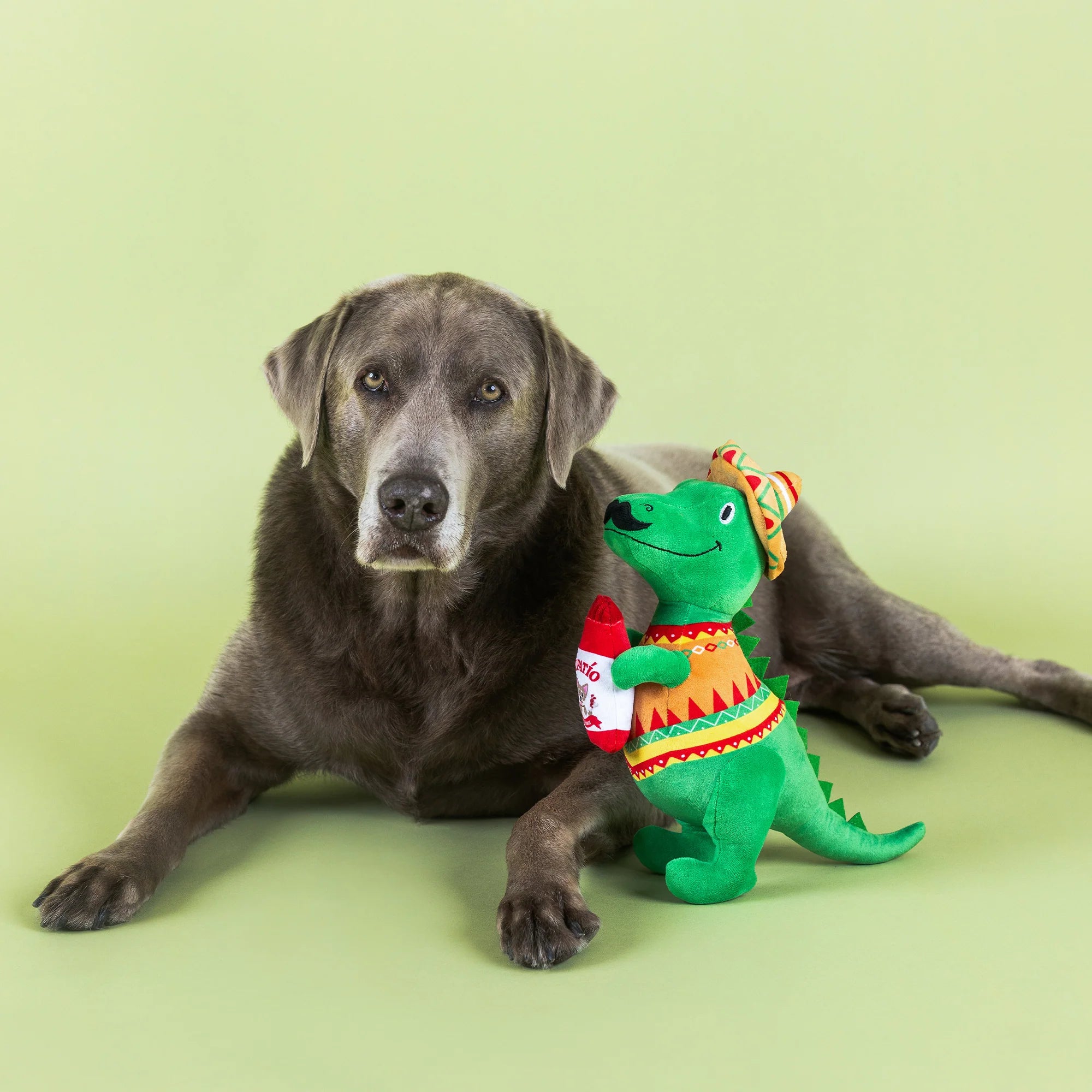 Pet Toy With Loud Squeaker Fringe Studio Dog Toy Rose All Day Plush With Squeaker & Crinkle, X-Small (12.6") For All Dogs Squeaker Crinkle Dog Toys Pet Toy With Loud Squeaker Fringe Studio Dog Toy Rose All Day Plush With Squeaker & Crinkle, X-Small (12.6") For All Dogs Squeaker Crinkle Dog Toys