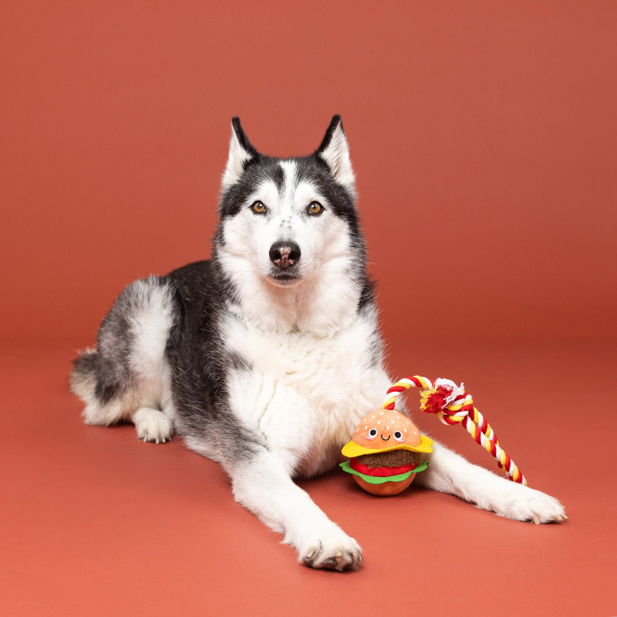 Petshop by Fringe Studio - Dog Toy You're The Bun That I Want