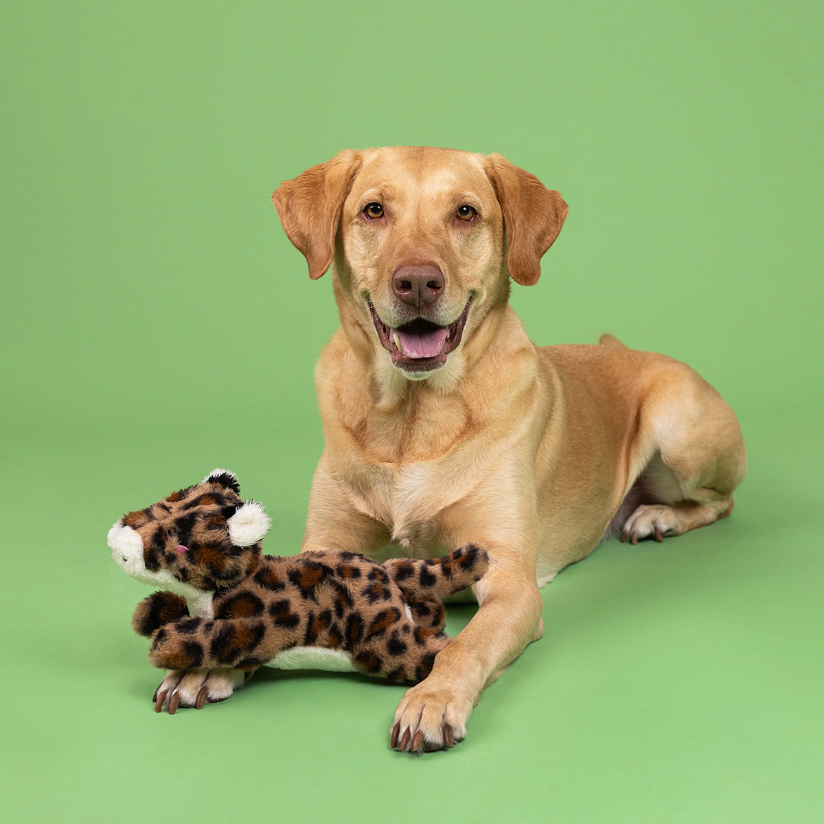Petshop by Fringe Studio - Dog Toy You're Spot On