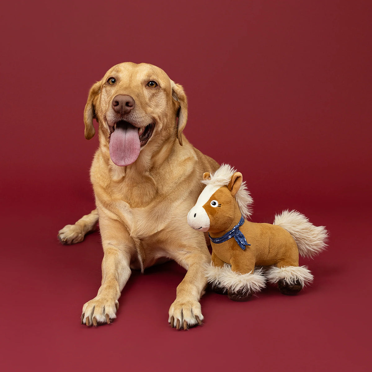 Petshop by Fringe Studio - Dog Toy Hay There Cutie