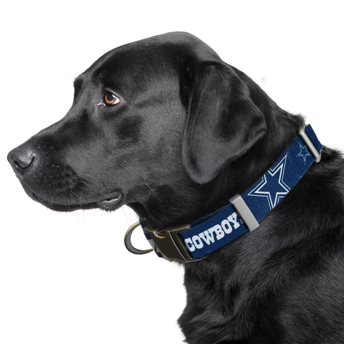 Little Earth Productions - Dallas Cowboys Collar