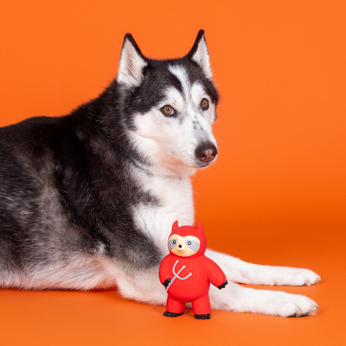 Petshop by Fringe Studio - Dog Toy A LITTLE HOTHEADED