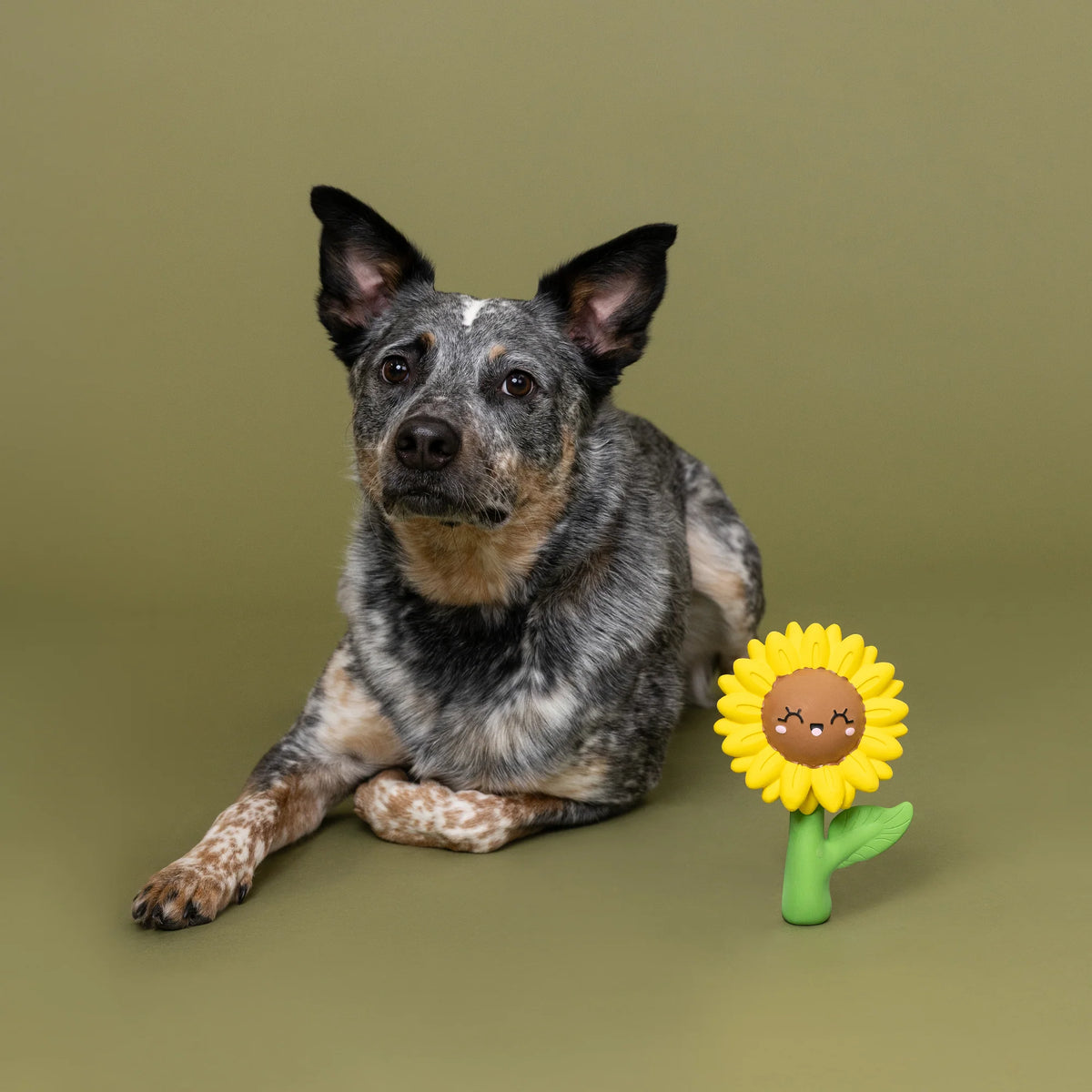 Petshop by Fringe Studio - Dog Toy Way To Grow