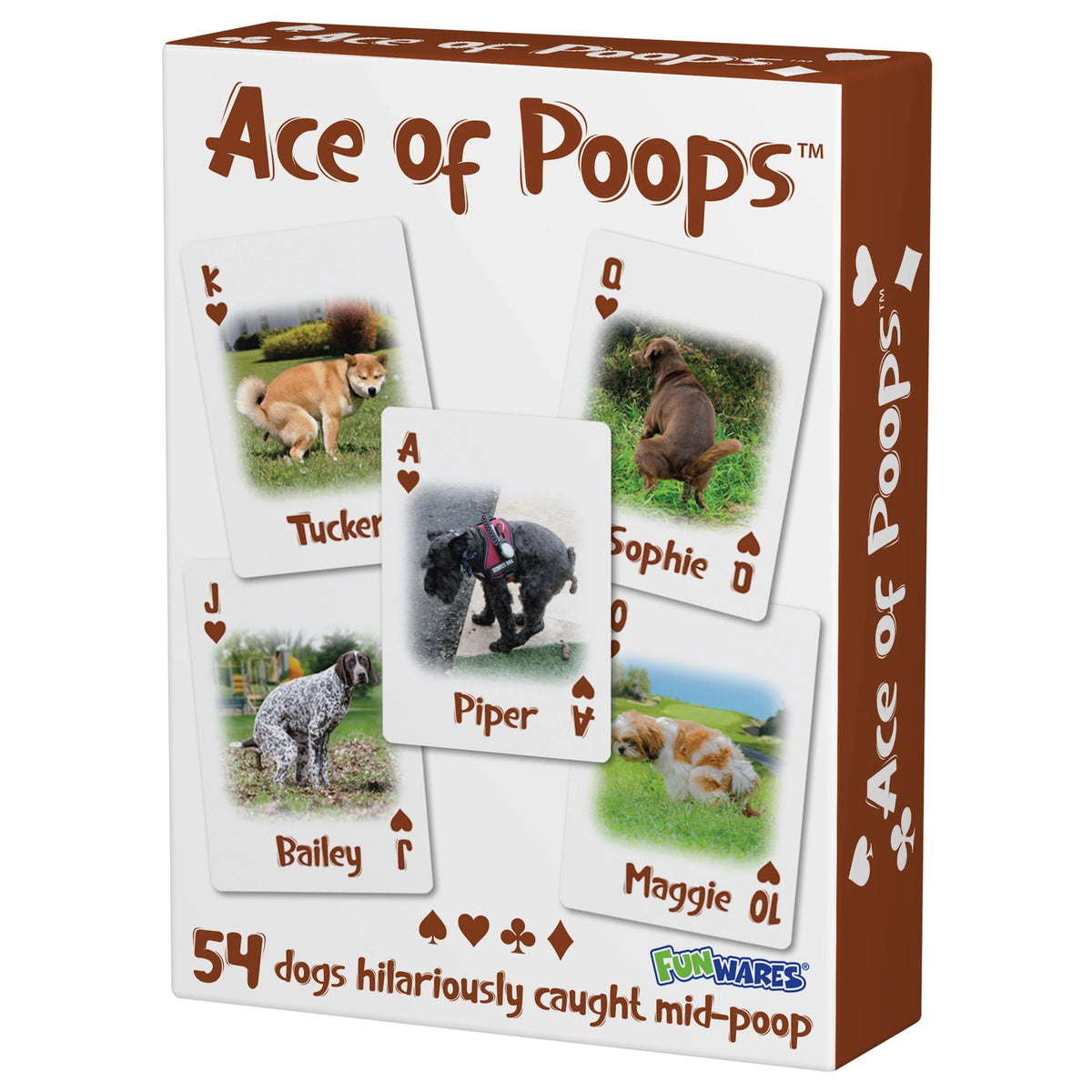 Funware - Deck of Cards Ace of Poops