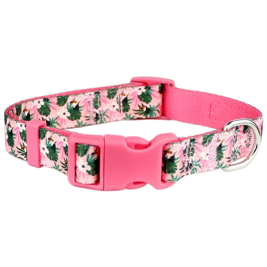 Parisian Pet - Dog Collar Tropical Toucan