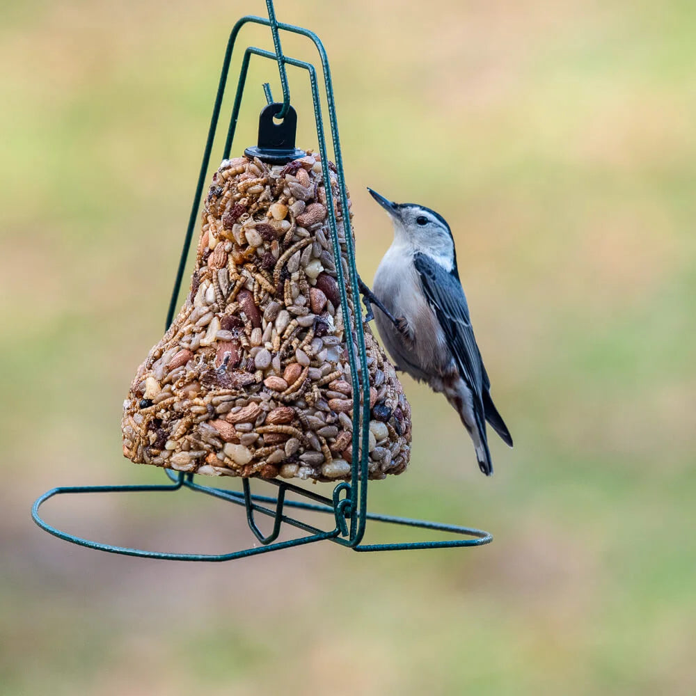 Mr. Bird - Seed Bell Hanger