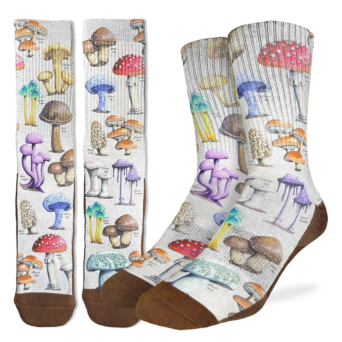 Good Luck Sock - Morphology Of Mushrooms