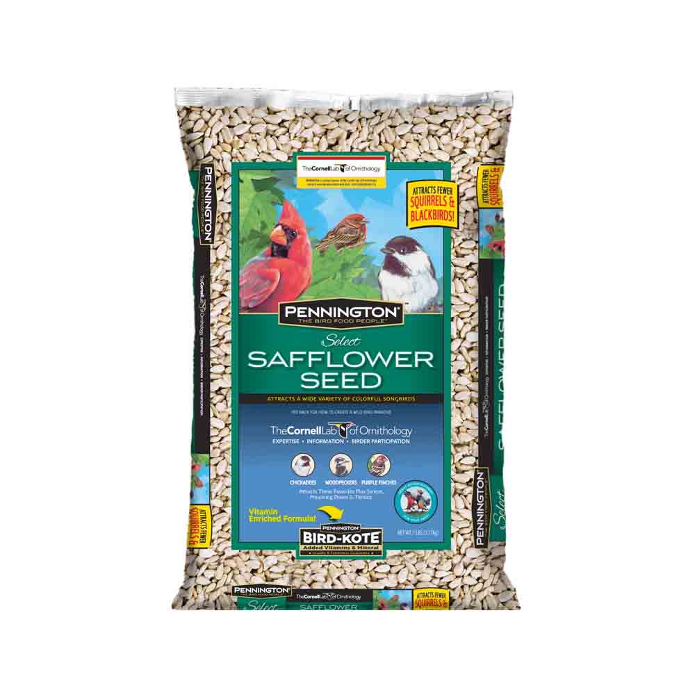 where to buy safflower seeds for planting Pennington Select Safflower Seed, Wild Bird Feed & Seed