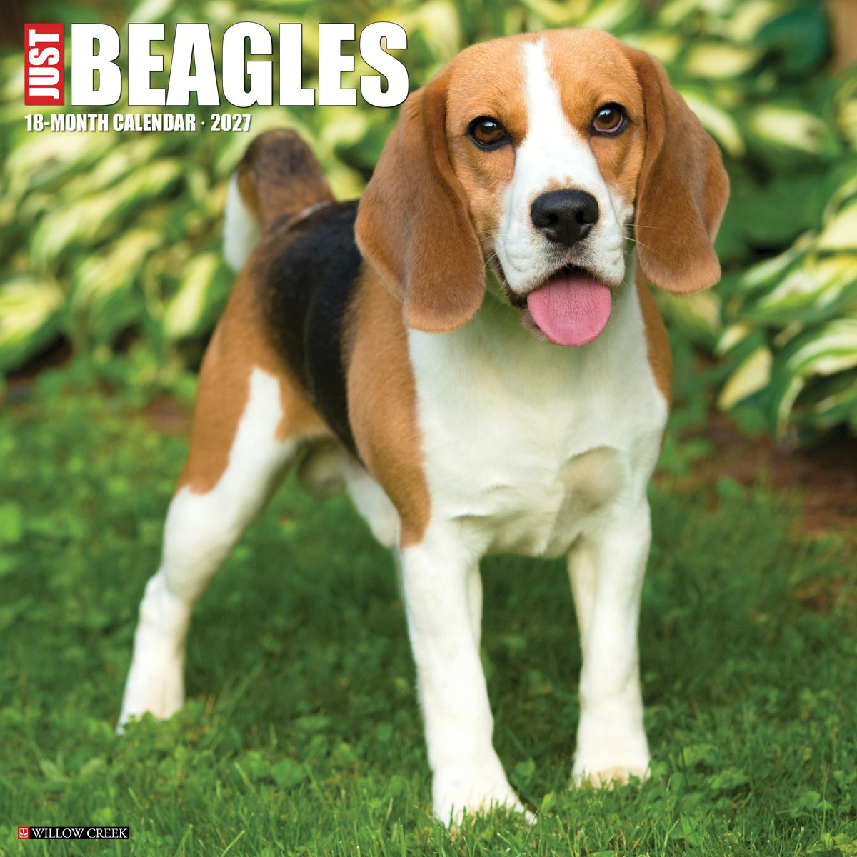 Willow Creek Press - 2027 Beagles Calendar