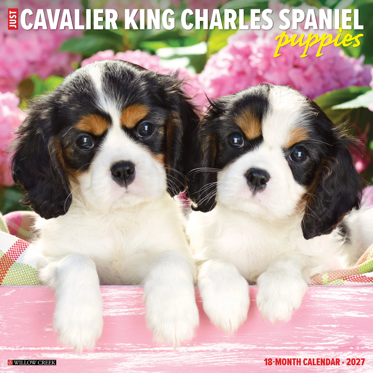 Willow Creek Press - 2027 Cavalier King Charles Pups Calendar